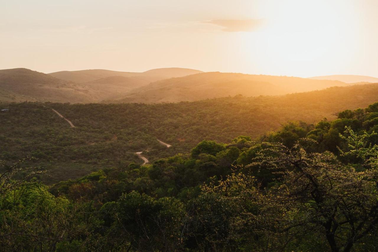 Rhino Ridge Safari Lodge KwaNompondo Luaran gambar