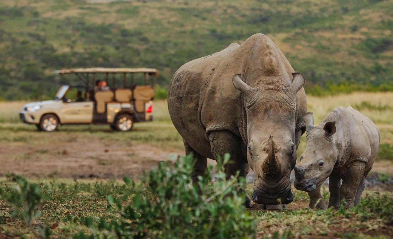 Rhino Ridge Safari Lodge KwaNompondo Luaran gambar