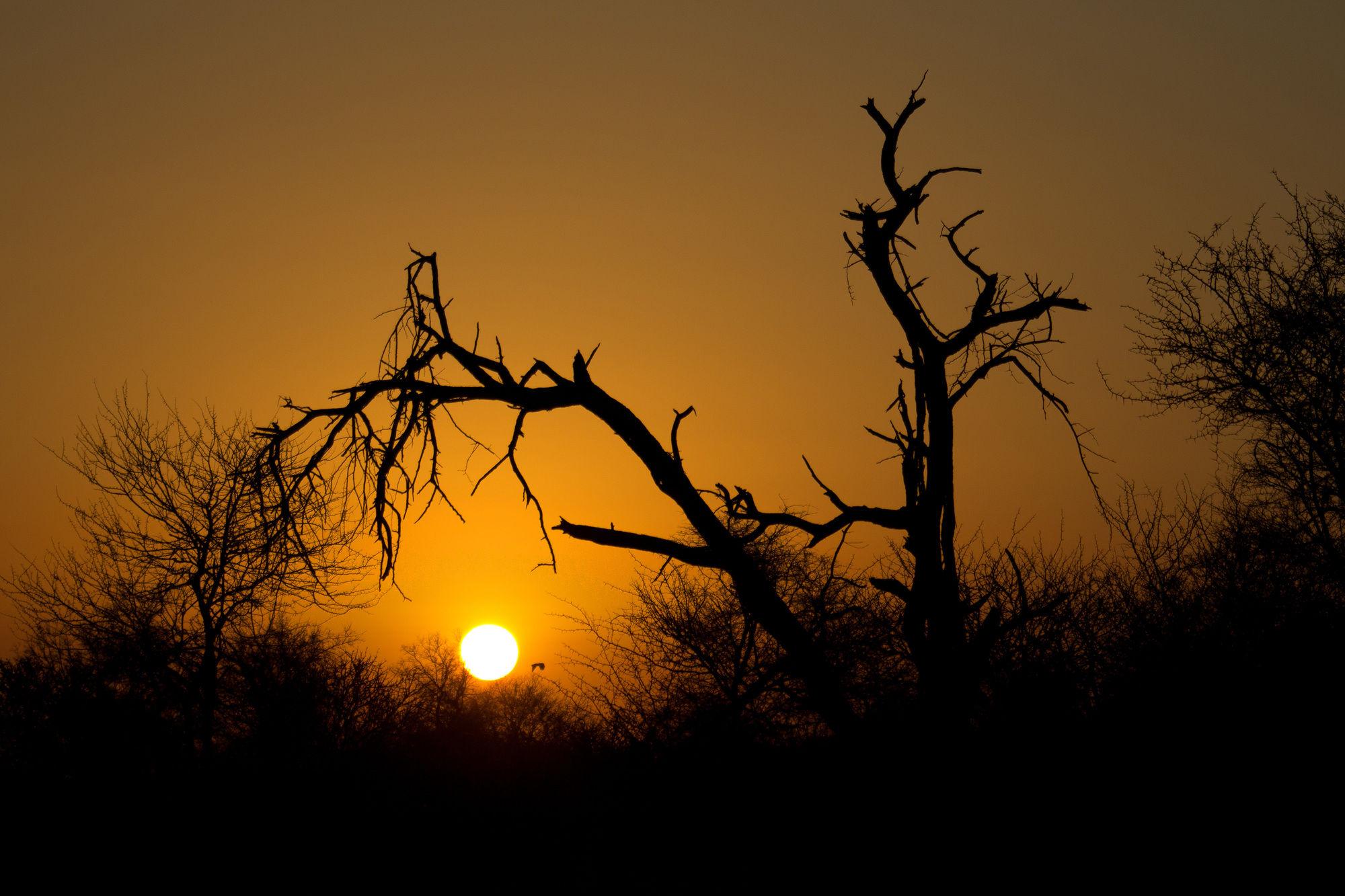 Rhino Ridge Safari Lodge KwaNompondo Luaran gambar