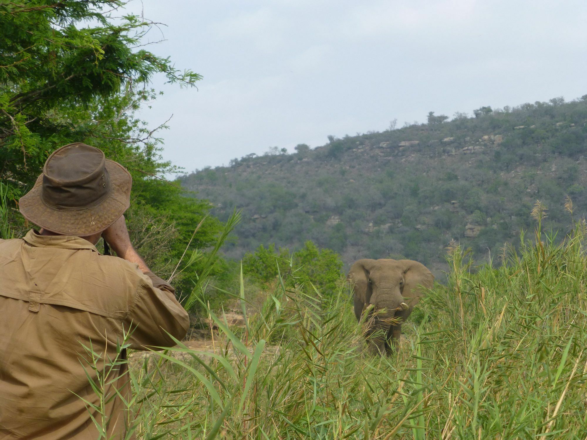 Rhino Ridge Safari Lodge KwaNompondo Luaran gambar